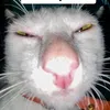 hihi07266