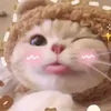 user73z7l1k3za