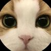jmmycy3