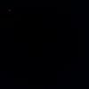 mooh_323