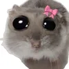 xryz_mueh