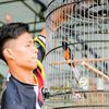 hendra.hands