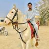 Gabbar Pet House1