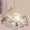 studywis