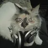 arcta_diva