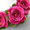 umer.awann333