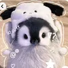 juh._ofc0