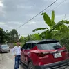 thanghaiphong4871