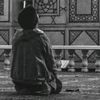 abdul.rehman33632
