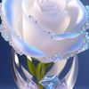 user159502184707872