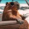 Filmes & Clips