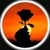 .elias.hossain3