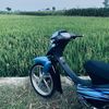 mufit