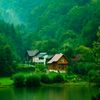 georgic8