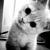 mils_zzz0