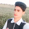 ms_ms11111