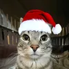 lennard_2