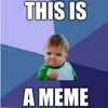 viral videos