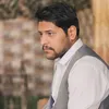 چاي وشعر