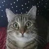 vincenza.esposito71