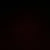 caly_prtnr14
