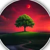 user7804301954075