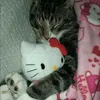 atoyo.died