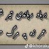 khansss166