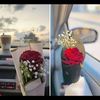 rasha.ali5930