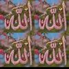 user9680336204016