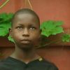 abdulabdul7341