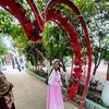 akhi.akhi4432