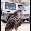 الحساب البيع