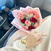 nehouda_sbr