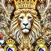user7151520059410