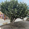 annab0963