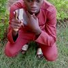ibn.ksir