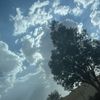 ab.507_7