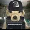 fredy.garcia847