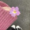 wwwtiktokcom12345678qwer