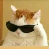 chillguy2814