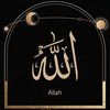 user5801185978835