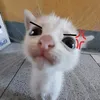 _vasilisa.11