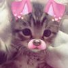 lynnleigh.starships_m00n