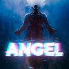 angel.pro2740