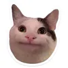 nronyx