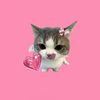 lovjennie16