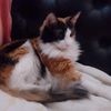 sonnia96
