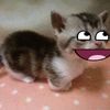 angel ^_^