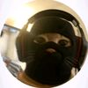 unk_nown295